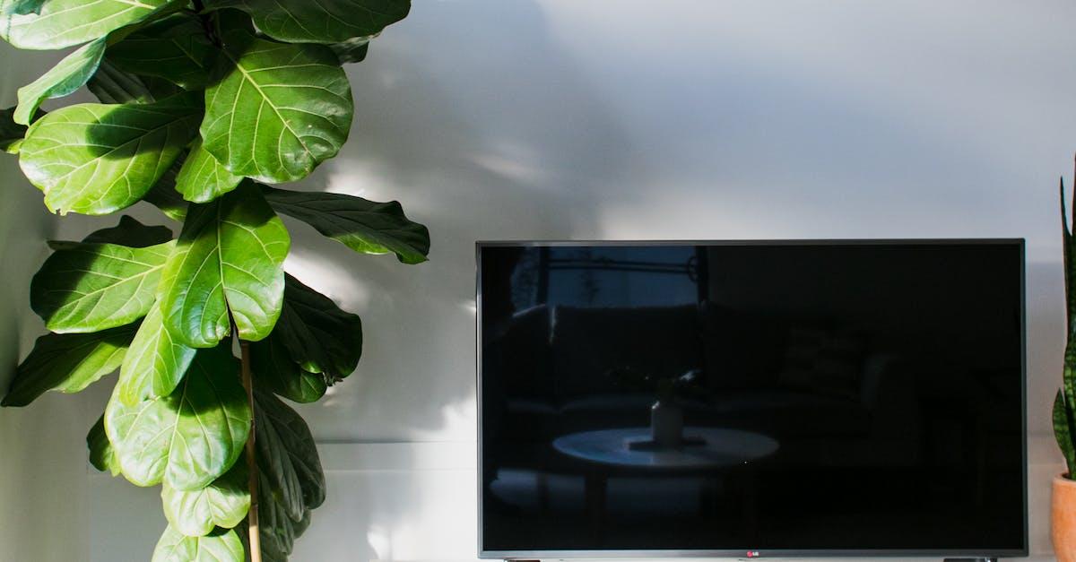 Att förnya din gamla TV-bänk: Klimatmässiga fördelar, personlig tillfredsställelse och unik design.